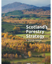 Scotland's Forestry Strategy 2019-2029